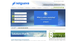 Desktop Screenshot of netguava.com
